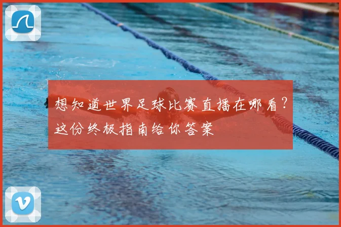 想知道世界足球比赛直播在哪看?这份终极指南给你答案