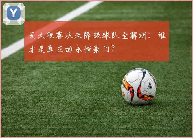 五大联赛从未降级球队全解析:谁才是真正的永恒豪门?