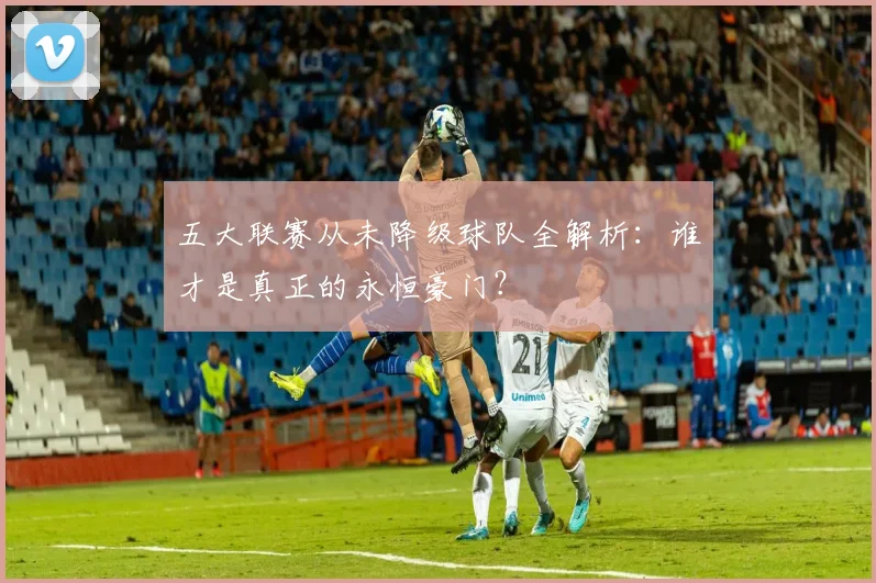 五大联赛从未降级球队全解析:谁才是真正的永恒豪门?