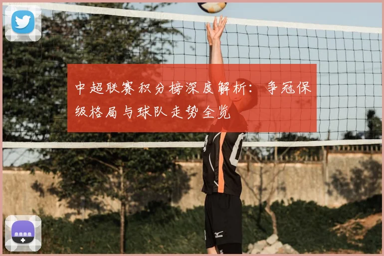 中超联赛积分榜深度解析：争冠保级格局与球队走势全览